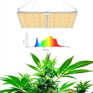 Kvantna plošča LED Grow Light
